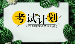 2018年度專業(yè)技術(shù)人員資格考試計(jì)劃